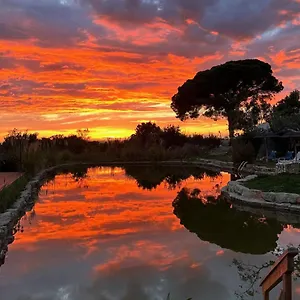 Oasis Camp Portugal Tente de luxe